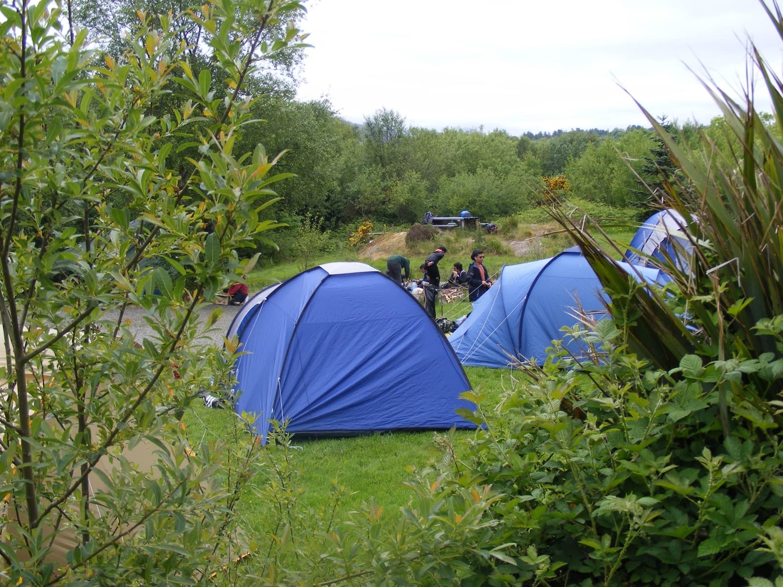 Beara Camping, near Kenmare, County Kerry