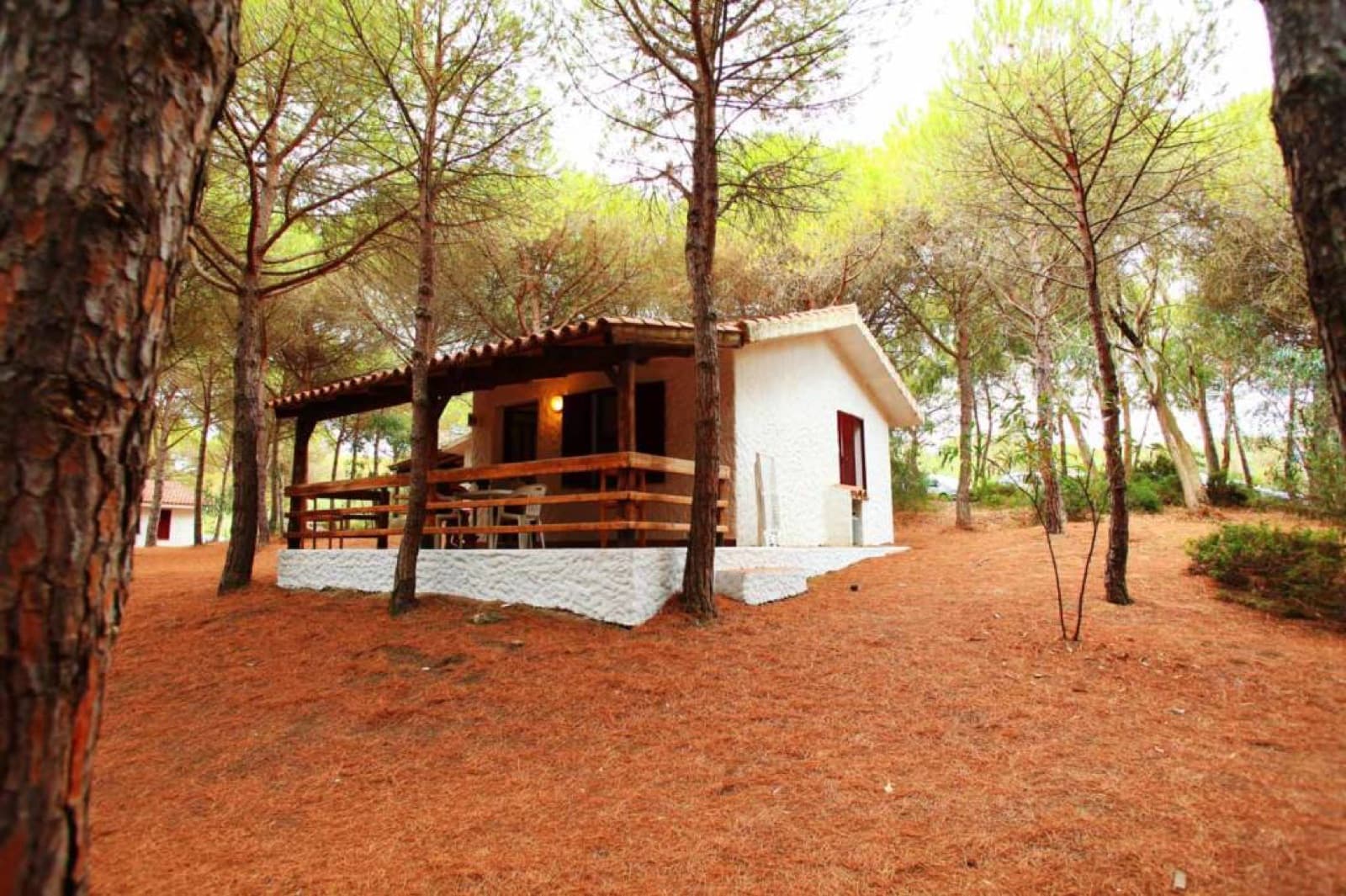 Bella Sardinia, Oristano, Sardinia