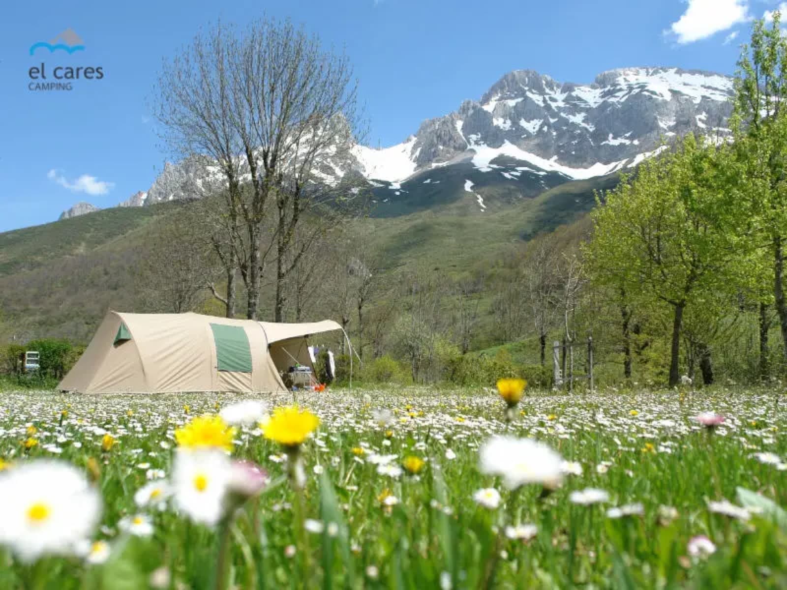 Camping El Cares, Santa Marina de Valdeón, Picos de Europa