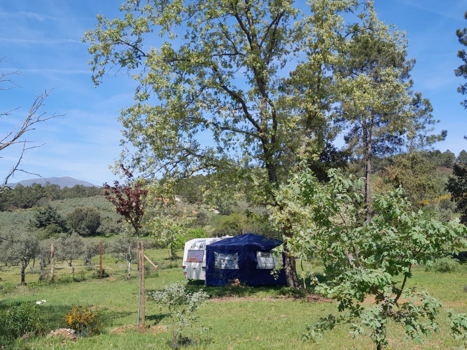 Camping El Merino, Extremadura