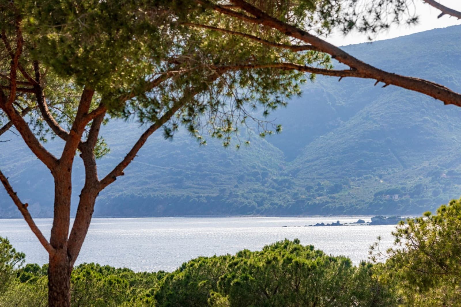 Camping Lacona Pineta, Lacona, Tuscany
