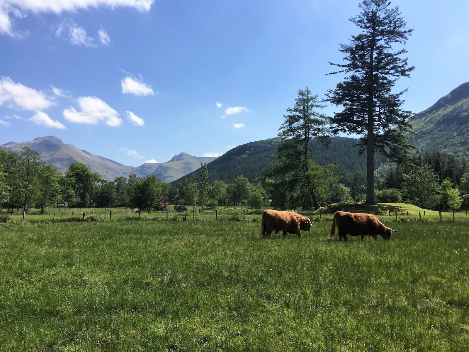 Glen Nevis Caravan & Camping Park, Fort William