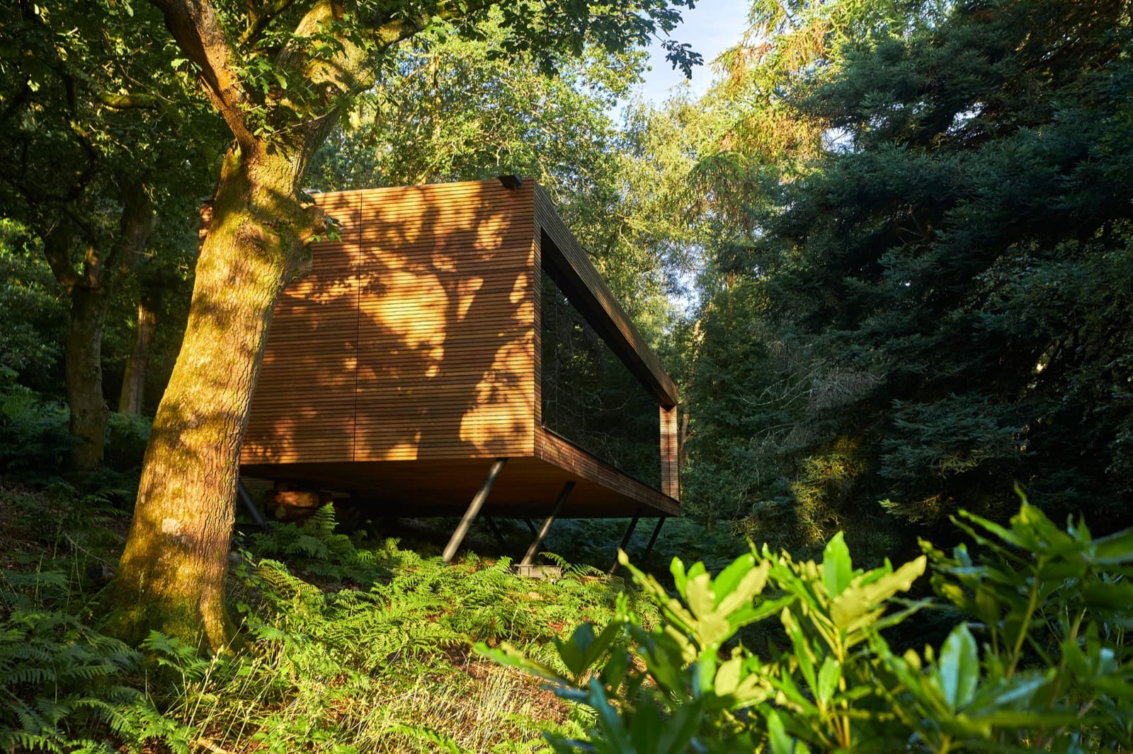 Looking Glass Lodge, Fairlight, East Sussex