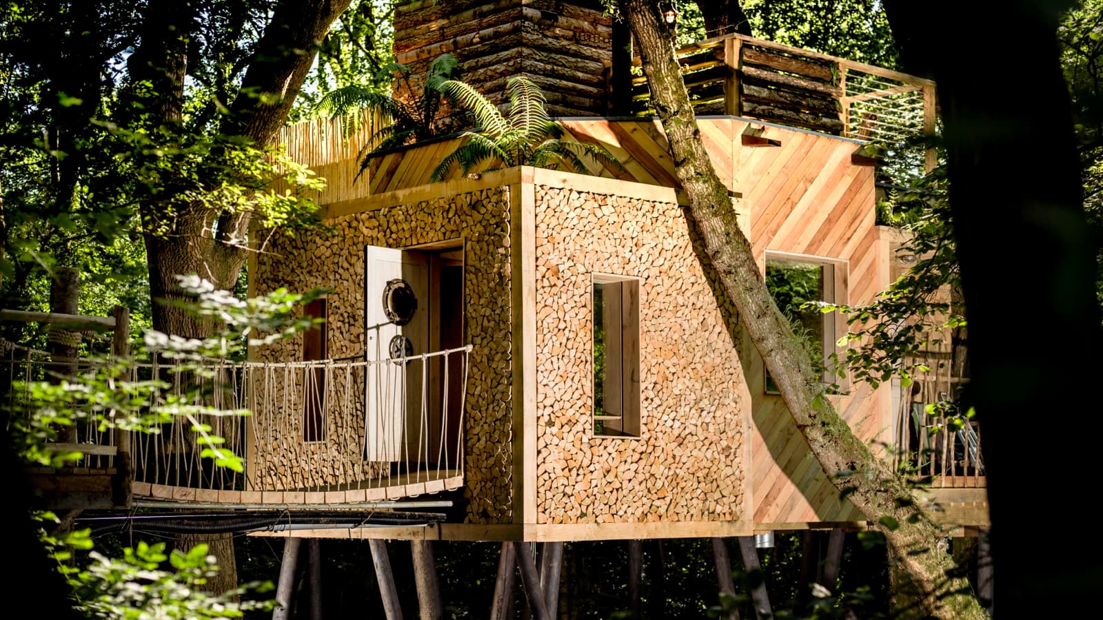 Mallinson's Woodland Retreat, Thorncombe, Dorset