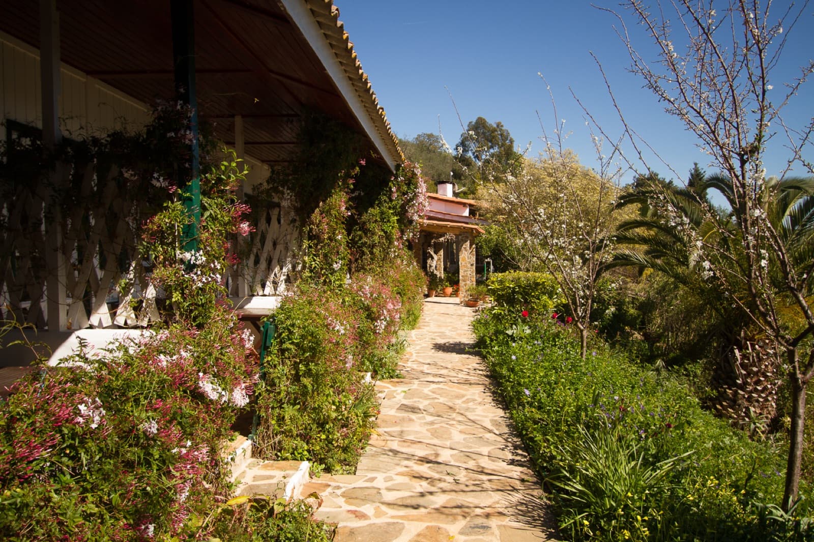 Quinta do Barranco da Estrada, Santa Clara-a-Velha, Alentejo