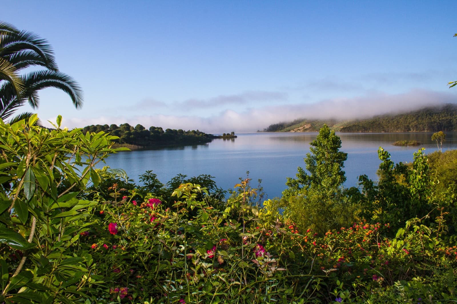 Quinta do Barranco da Estrada, Santa Clara-a-Velha, Alentejo
