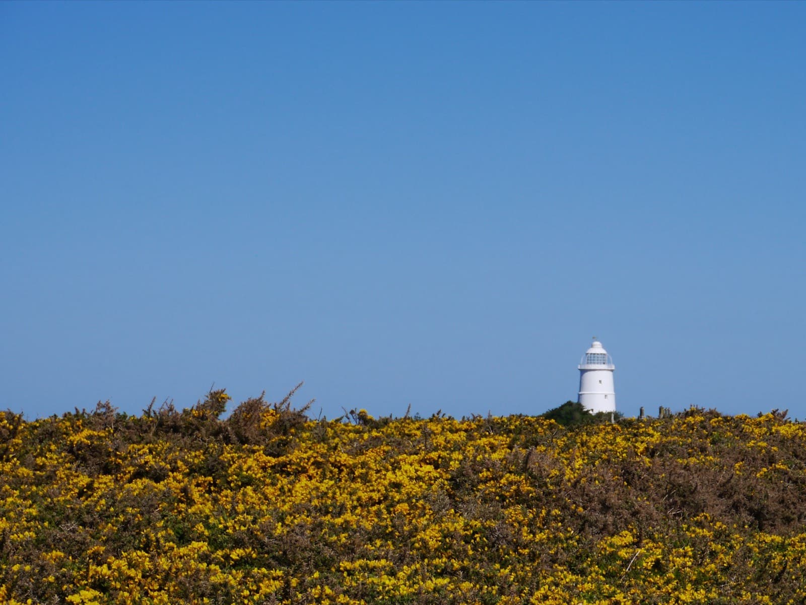 Troytown Farm Campsite, St Agnes, Isles of Scilly