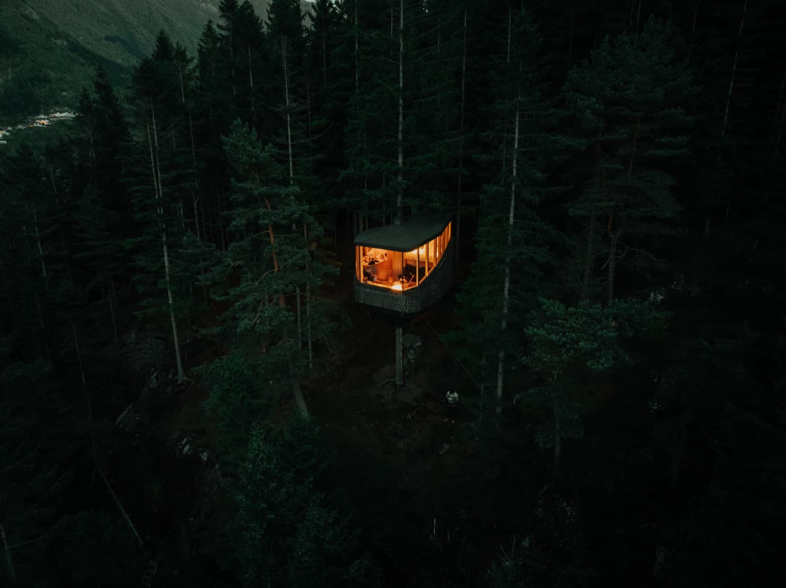 Woodnest, Odda, Fjord Norway