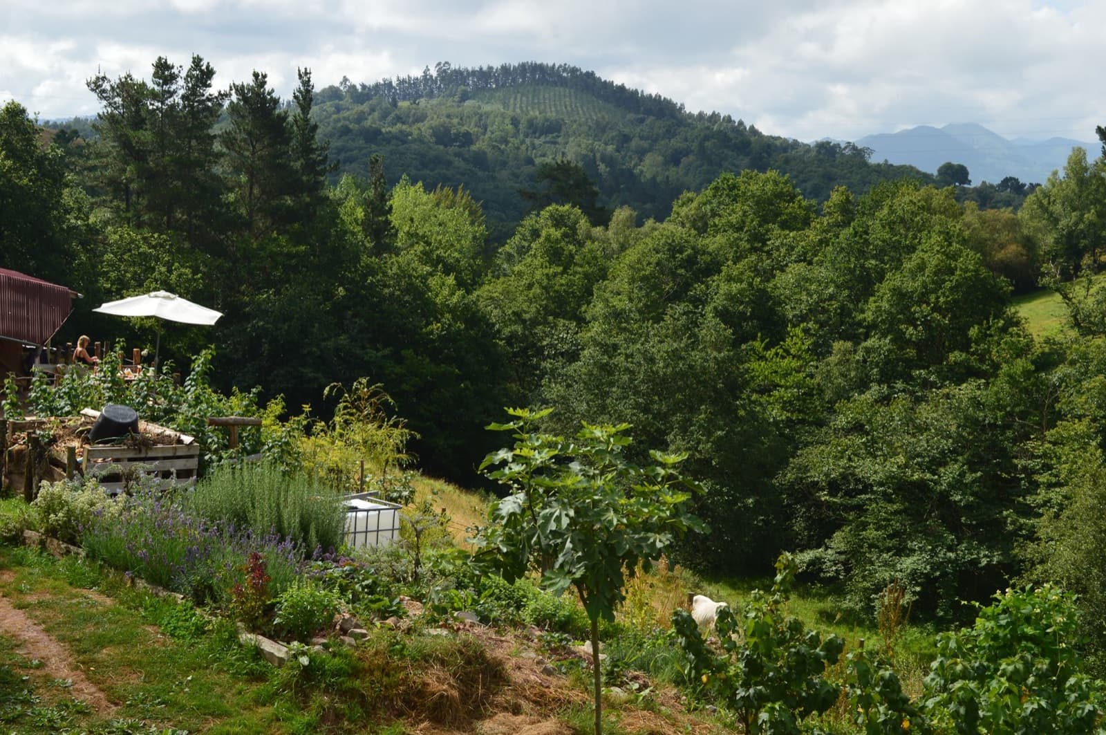 El Toral Ecofarm, Asturias
