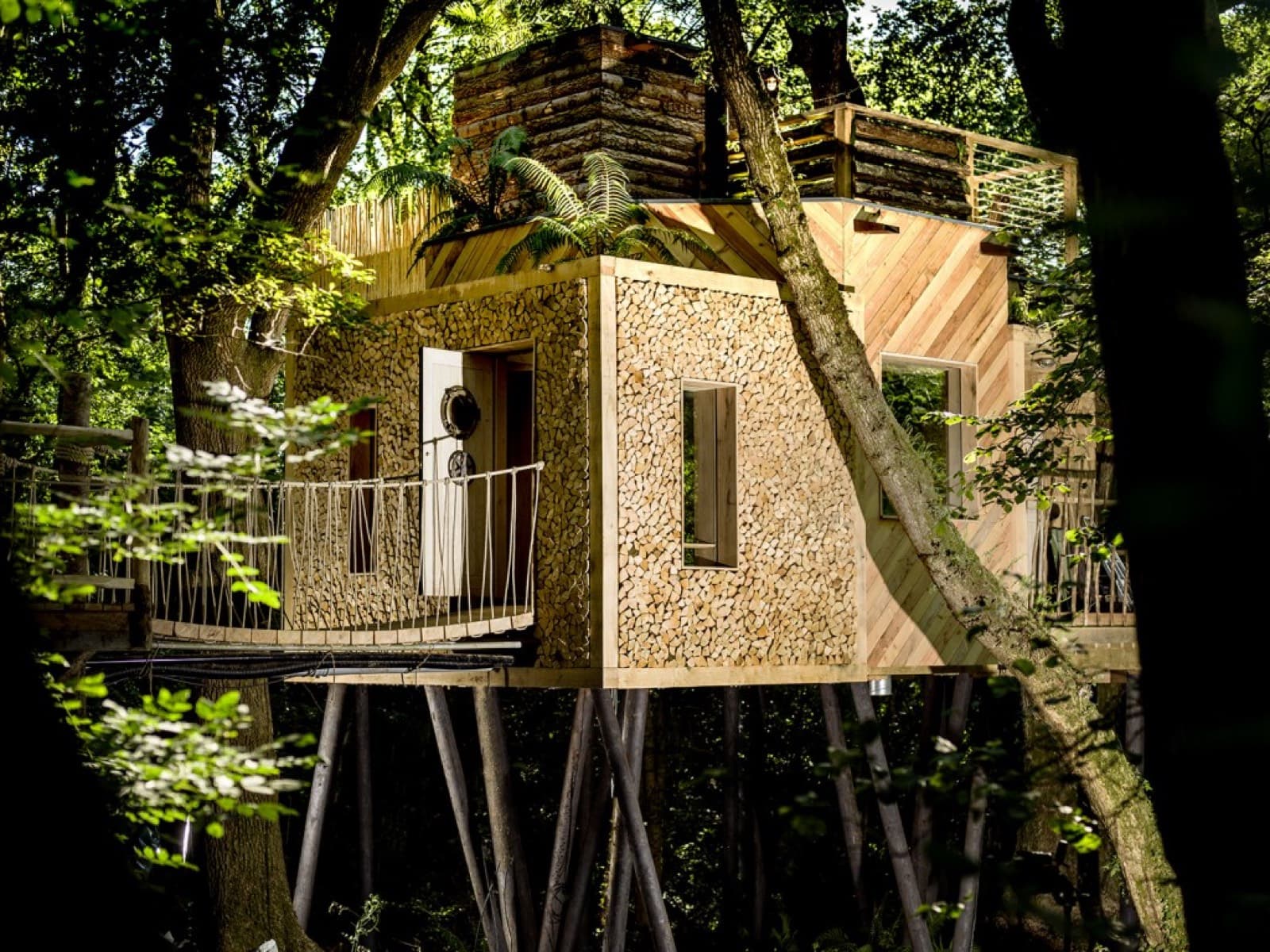 Mallinson's Woodland Retreat, Thorncombe, Dorset
