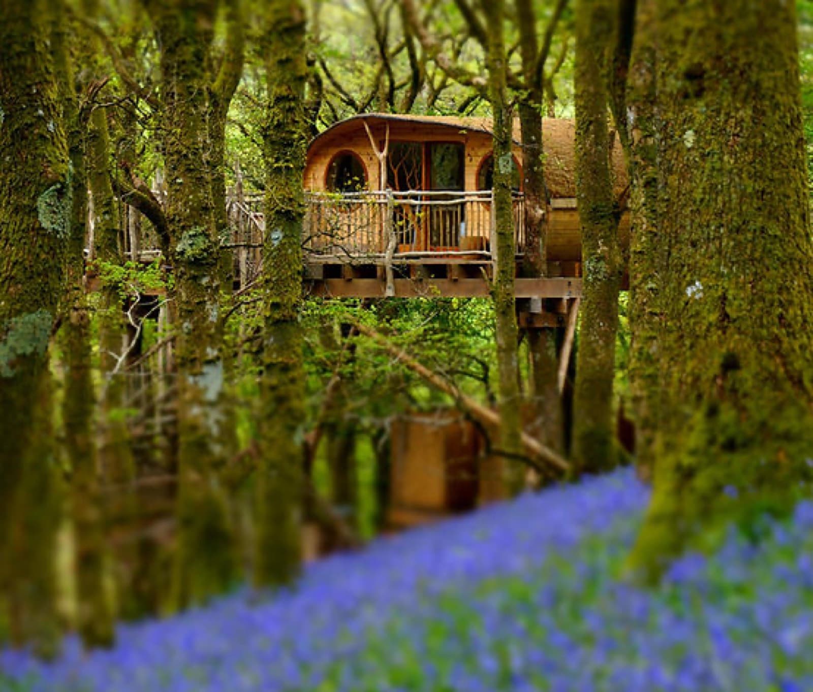 The Living Room Treehouses, near Machynlleth, Powys