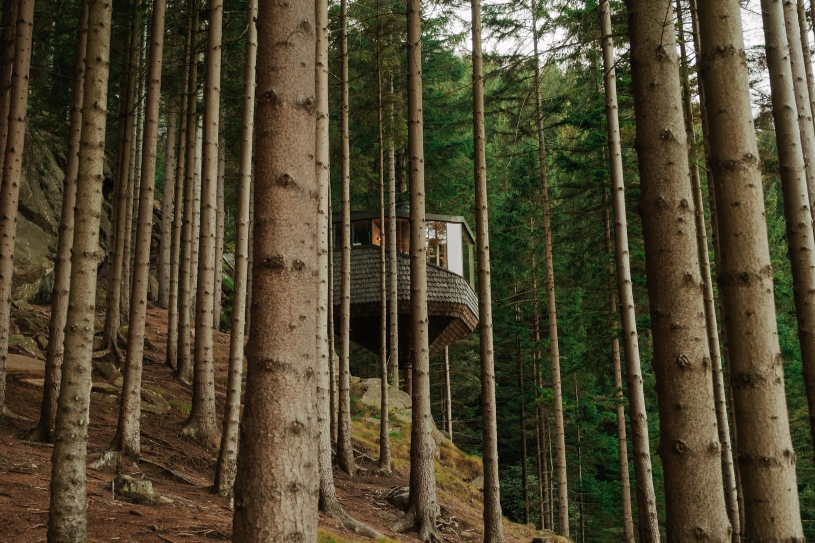 Woodnest, Odda, Fjord Norway
