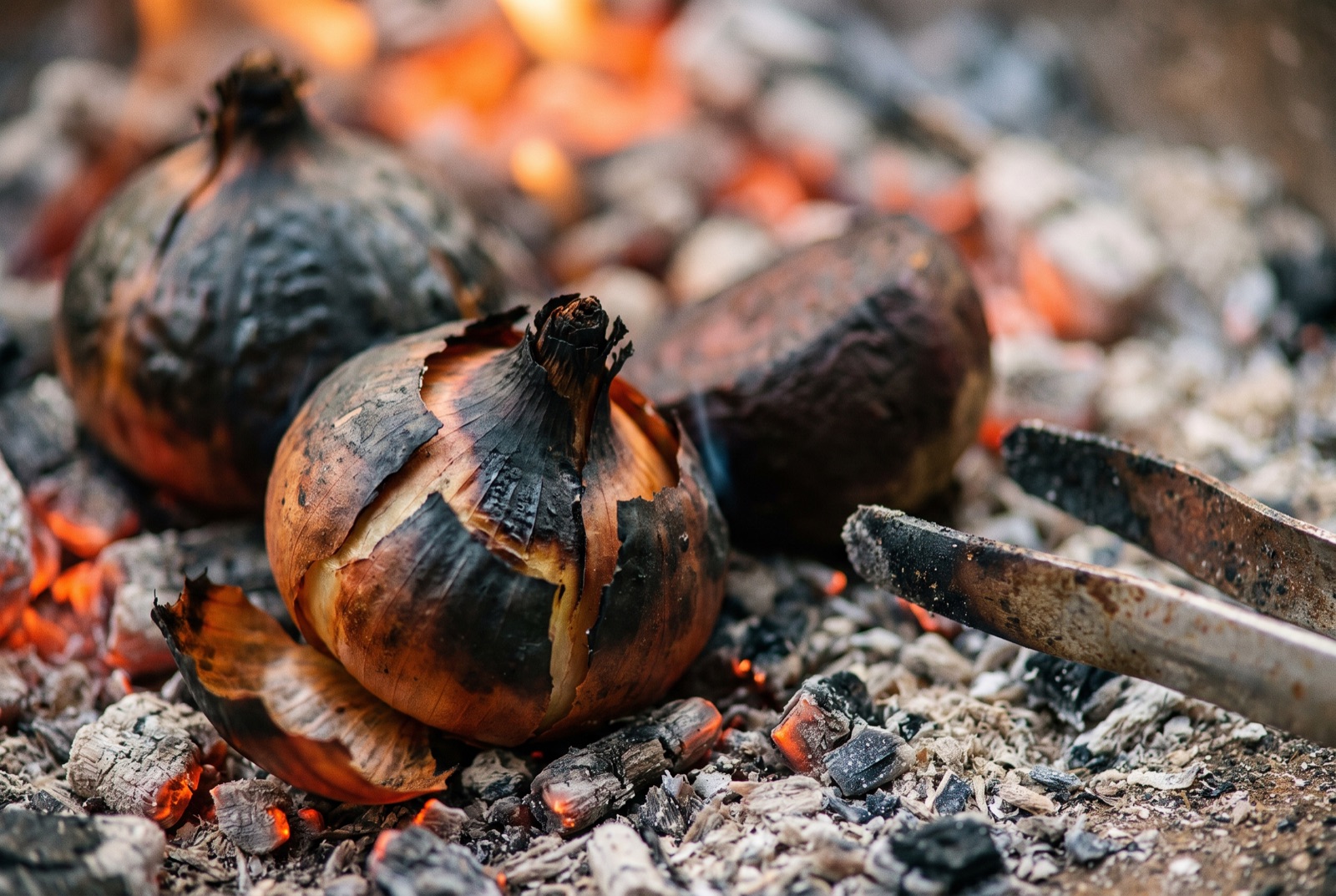 Whole unpeeled onions and a beetroot nestled in ash and glowing coals, their skins split and blackened, with steel tongs alongside.