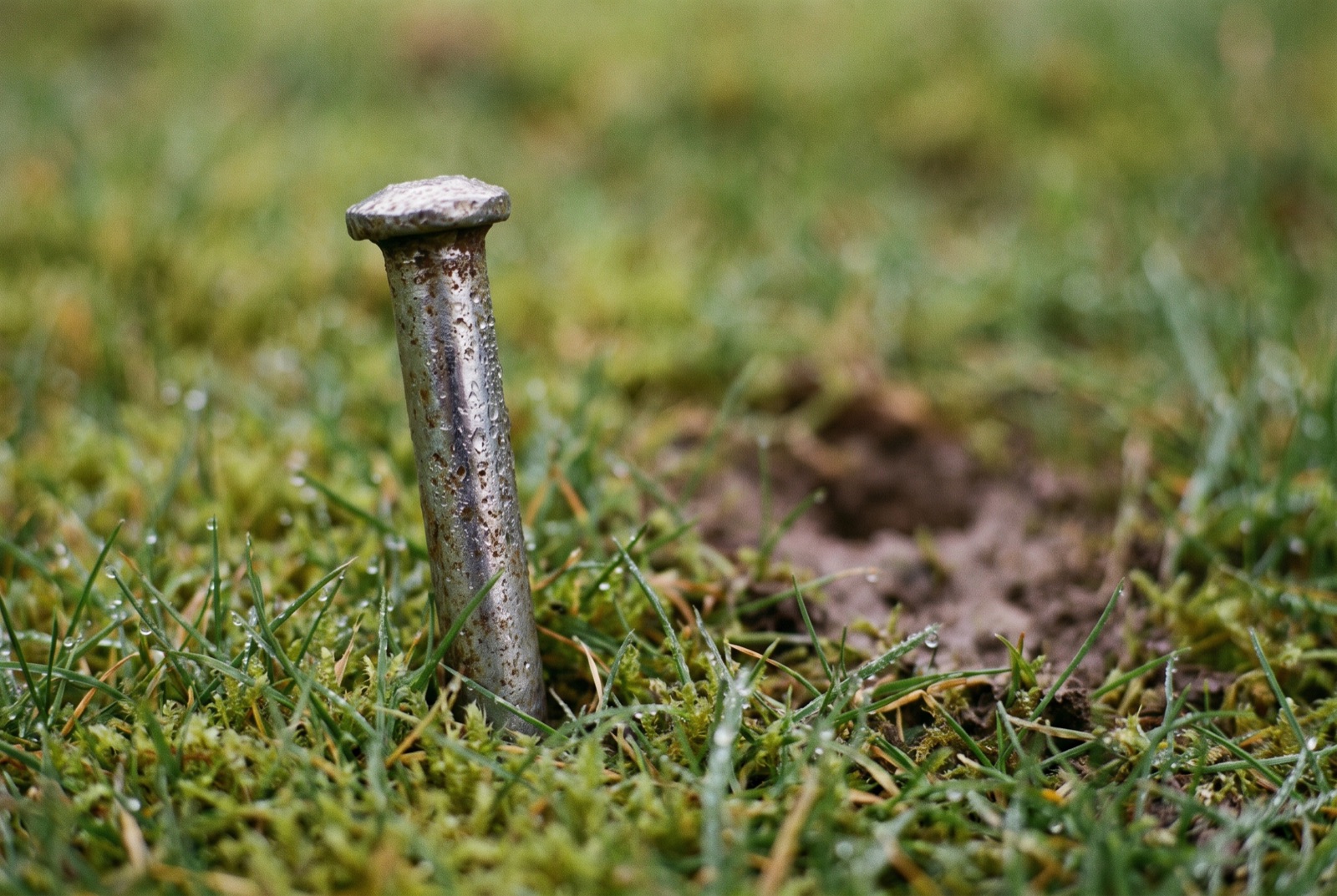 A single steel tent peg left standing in cropped, dewy grass after a tent has been struck.